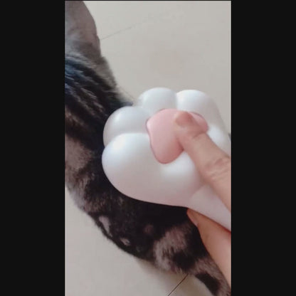 Cat Paw shaped hairbrush