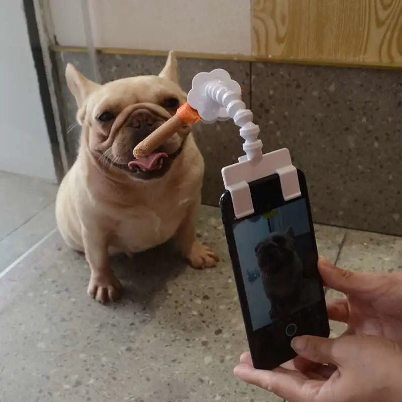 Pet Selfie Stick