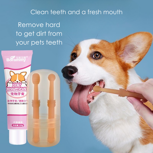 Toothbrush for Pet w/ Toothpaste