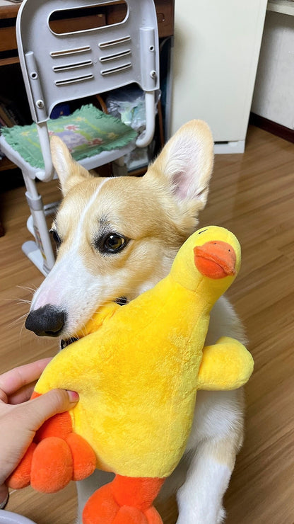 Yellow duck toy for dogs