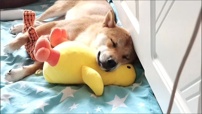 Yellow duck toy for dogs